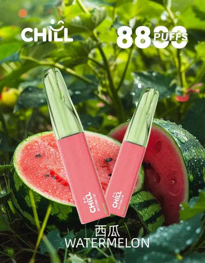 CHILL 鴨嘴獸8800口拋棄式電子煙 潮流造型一次性電子煙 長效容量設計 便攜式電子煙設備 多口味系列推薦 台灣現貨