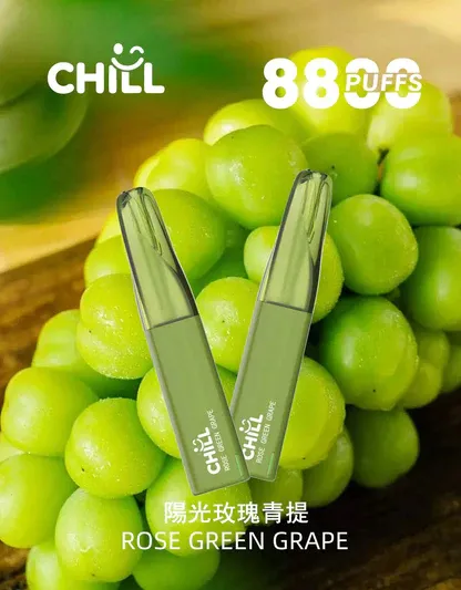 CHILL 鴨嘴獸8800口拋棄式電子煙 潮流造型一次性電子煙 長效容量設計 便攜式電子煙設備 多口味系列推薦 台灣現貨