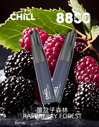 CHILL 鴨嘴獸8800口拋棄式電子煙 潮流造型一次性電子煙 長效容量設計 便攜式電子煙設備 多口味系列推薦 台灣現貨