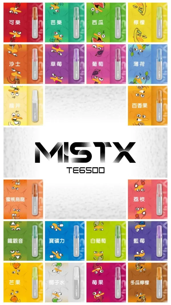 Mist X 鴨嘴獸6500口拋棄式電子煙 長效容量設計 日常攜帶使用 方便即用型一次性電子煙 台灣現貨