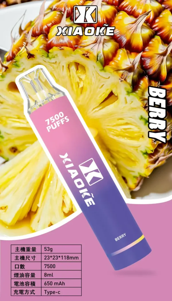 XIAOKE 梟客7500口拋棄式電子煙 長效容量設計 一次性電子煙方便使用 日常攜帶推薦 台灣現貨
