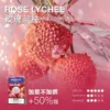 MEHA 魅嗨一代通用電子煙煙彈 高相容替換設計 搭配一代主機使用 口感探索 日常補充推薦