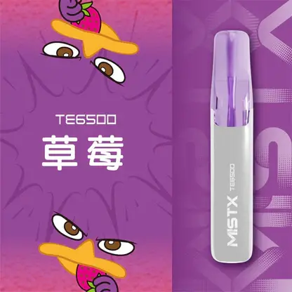 Mist X 鴨嘴獸6500口拋棄式電子煙 長效容量設計 日常攜帶使用 方便即用型一次性電子煙 台灣現貨