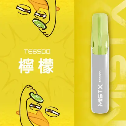Mist X 鴨嘴獸6500口拋棄式電子煙 長效容量設計 日常攜帶使用 方便即用型一次性電子煙 台灣現貨