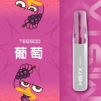 Mist X 鴨嘴獸6500口拋棄式電子煙 長效容量設計 日常攜帶使用 方便即用型一次性電子煙 台灣現貨