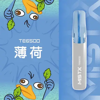 Mist X 鴨嘴獸6500口拋棄式電子煙 長效容量設計 日常攜帶使用 方便即用型一次性電子煙 台灣現貨
