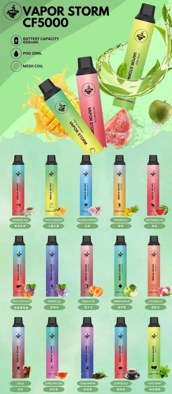 WP風暴.webp VAPOR STORM 風暴系列5000口拋棄式電子煙 大容量設計 日常攜帶使用 方便即用型一次性電子煙 台灣現貨