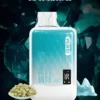 SP2S 思博瑞 GEM 9000口拋棄式電子煙 長效容量設計 一次性電子煙方便使用 日常攜帶推薦 台灣現貨