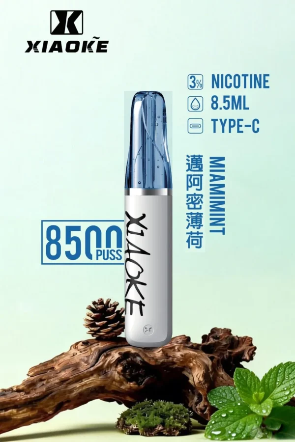 XIAOKE 梟客 8500口拋棄式電子煙 便攜輕巧機身 3%尼古丁鹽 外出使用推薦 台灣現貨