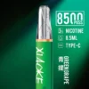 XIAOKE 梟客 8500口拋棄式電子煙 便攜輕巧機身 3%尼古丁鹽 外出使用推薦 台灣現貨