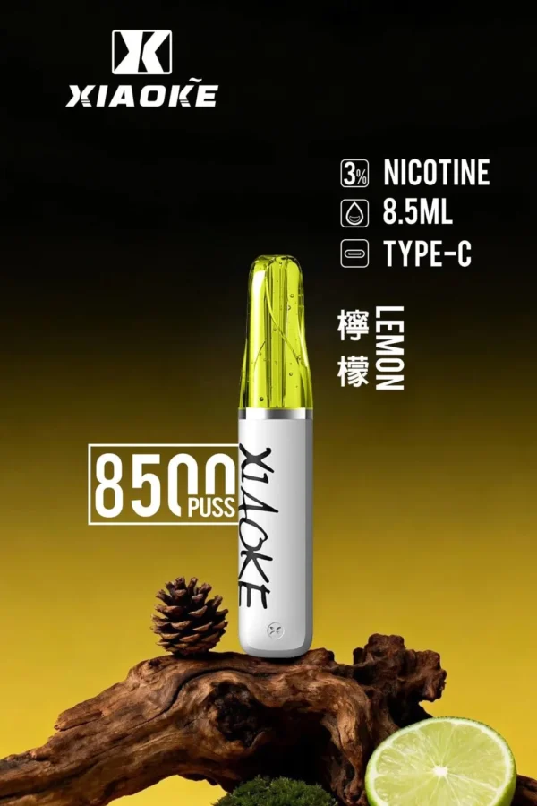XIAOKE 梟客 8500口拋棄式電子煙 便攜輕巧機身 3%尼古丁鹽 外出使用推薦 台灣現貨